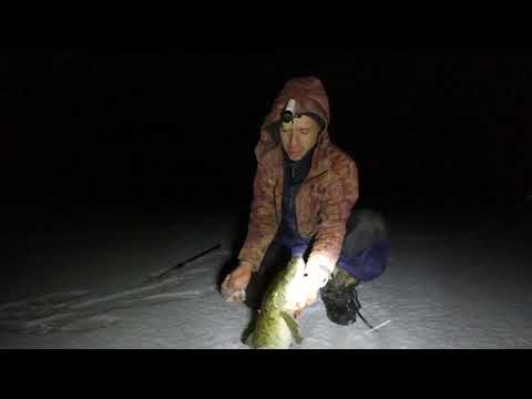 Видео: Мечта РЫБАКА,НАЛИМ НИКОДИМ !!! Пять дней на РЫБАЛКЕ !!! ОТКРЫТИЕ по твердой воде !!!