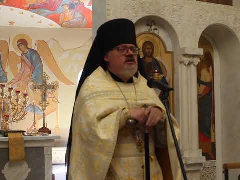 Видео: Накормить душу(проповедь 3.08.2025)