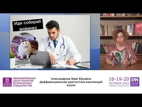 Видео: Дифференциальная диагностика кашляющей кошки. Вера Александрова