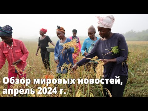 Видео: Обзор мировых новостей, апрель 2024 г.