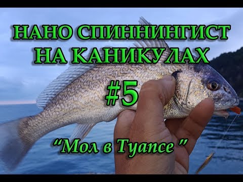 Видео: РЫБАЛКА С МОЛА В ТУАПСЕ. #5 НАНО СПИНИНГИСТ НА КАНИКУЛАХ.