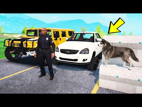 Видео: БИТВА ВОРОВ ПРОТИВ КОПОВ В ГТА 5 ОНЛАЙН. ПРИТВОРИЛСЯ СОБАКОЙ И УГНАЛ ЧИТ ТАЧКУ!
