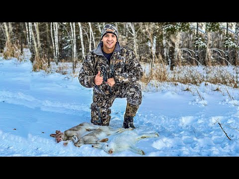 Видео: Идеальная охота на зайца! Лучшее открытие сезона!