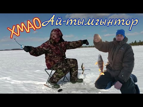 Видео: На рыбалку в ХМАО. озеро Ай-Тымгынтор. Озеро в болоте.