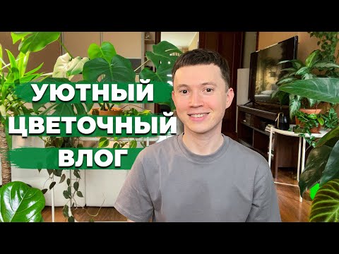 Видео: Большой разговор о комнатных растениях » Идеальный грунт, удобрения, освещение