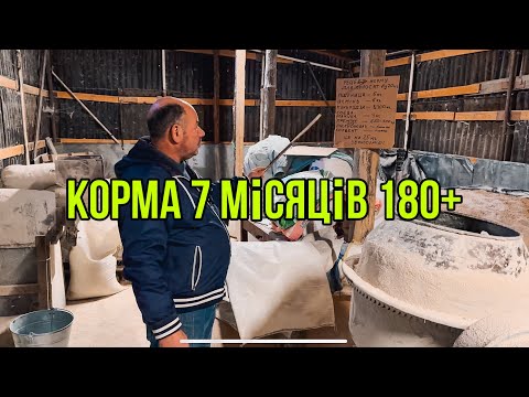 Видео: Корма Для Відгодівлі🐖7 місяців 180+🔥