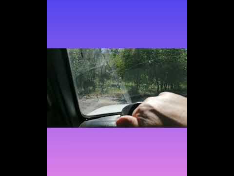 Видео: с. Александровка