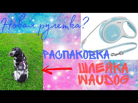 Видео: Новая рулетка flexi? Распаковка шлейки от waudog