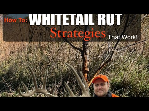 Видео: Разговор о гоне: как подготовиться к успешной охоте на гон!