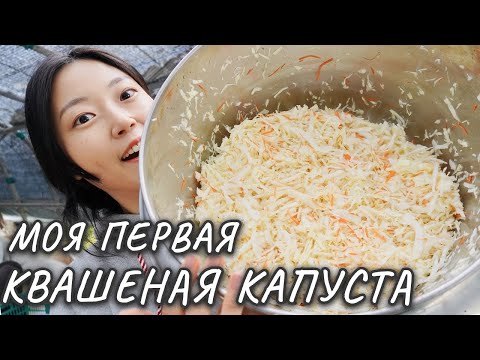 Видео: Моя первая КВАШЕНАЯ КАПУСТА в Южной Корее