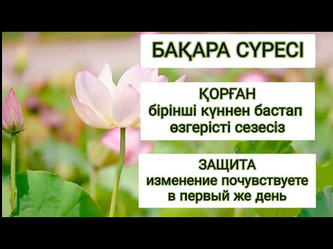 Видео: Бақара сүресі 1-286 Мишари Рашид Аль-`афаси. Жын-шайтаннан қорғану (Защита от негативного влияние)