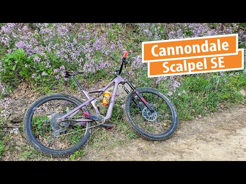 Видео: Лавандовый Cannondale Scalpel SE 2021