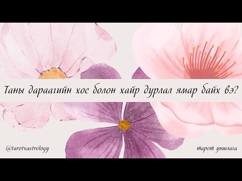 Видео: Тарот уншлага | Таны дараагийн хос ба хайр дурлал ямар байх вэ?