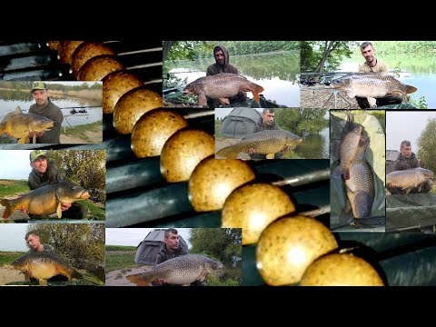 Видео: Бойли більше не купую!Саморобні Бойли на Трофейного Коропа.