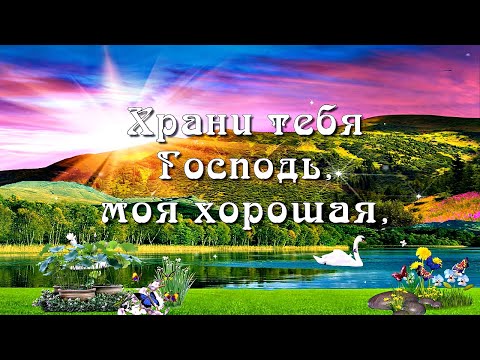 Видео: Храни тебя Господь, моя хорошая! 🙏🙏🙏.