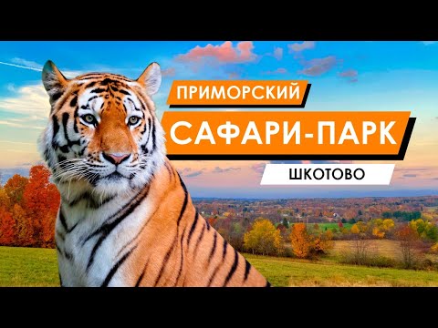 Видео: Приморский Сафари-парк | Владивосток