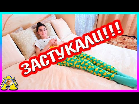 Видео: Застукала Алису ночью с....        хомяком         / Alisa Easy Pets