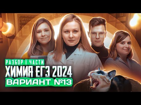 Видео: Вариант №13 ЕГЭ по ХИМИИ 2024, Степенин и Дацук | Анна, Влад, Варя и Катя с химфака МГУ