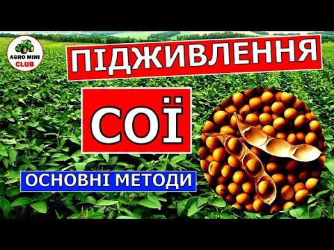 Видео: Чим підживити сою?Як підживити сою?Підживлення сої.Основні методи підживи для сої.Добрива для сої.