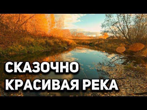 Видео: Рыбалка, как в сказке. Ультралайт спиннинг на микроречке, мормышинг 2021