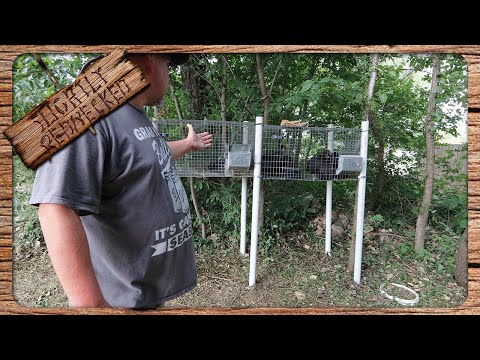 Видео: Быстрые и простые загоны для выращивания кроликов