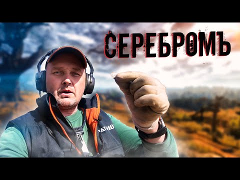 Видео: ДОБРАЛСЯ ДО МЕСТА, ГДЕ СПРЯТАНЫ МОНЕТЫ! КРУГОМ МЕДВЕДИ!