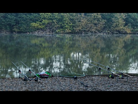 Видео: ЛОВЛЯ КАРПА ИЗ ПОД КОРЯГ. Непредсказуемая рыбалка на топовом месте. Рыбалка осень 2021
