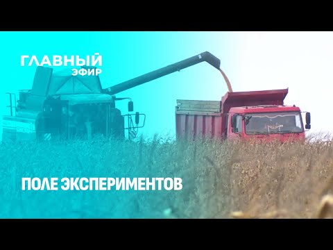 Видео: Аграрные новости недели. Как сделать так, чтоб урожайность сельхозкультур была максимальной?