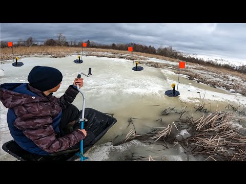 Видео: Рыбалка не для слабонервных! Такой рыбалки я не ожидал! Жерлицы 2024.