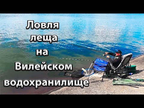 Видео: Ловля леща на Вилейском водохранилище.