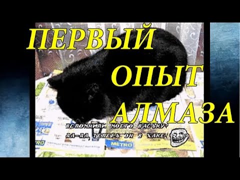 Видео: Кооперативный обзор *Первый опыт Алмаза О_о* [У - Упоротости :D ]