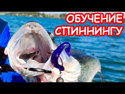 Видео: СПИННИНГ ДЛЯ НАЧИНАЮЩИХ. КАК ПОЙМАТЬ СУДАКА. РЫБАЛКА НА СПИННИНГ