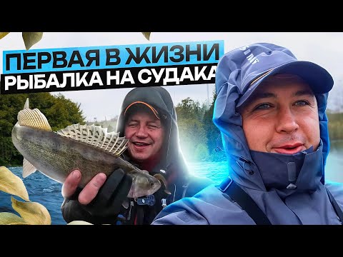 Видео: Приключение карптяника на спинниговой рыбалке. Осенняя ловля судака на джиг»