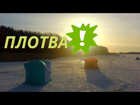 Видео: ПЛОТВА ЗИМОЙ ПЕЧЕНЕГИ ЧАСТЬ 1