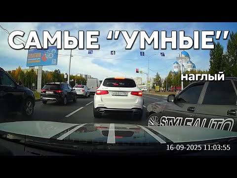 Видео: Подборка САМЫХ "УМНЫХ" водителей #1176