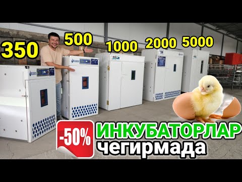 Видео: EGGBOX 🐣 дан МЕГА АКЦИЯ ИНКУБАТОРЛАР 50% чегирма улгуриб қолинг🤗