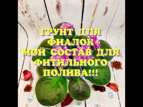 Видео: ГРУНТ ДЛЯ ФИАЛОК.Состав для фитильного полива. Фиалки от листочка до цветочка.Путь новичка 20