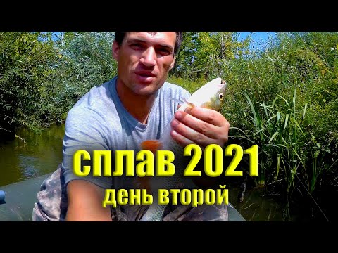 Видео: ОДИНОЧНЫЙ СПЛАВ по реке БУЗУЛУК 2021. День 2