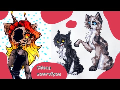 Видео: Обзор скетчбука №51 | Мои рисунки | Заказы Котов Воителей и Фурри | Мои перcы из КВ и Фурри | #86