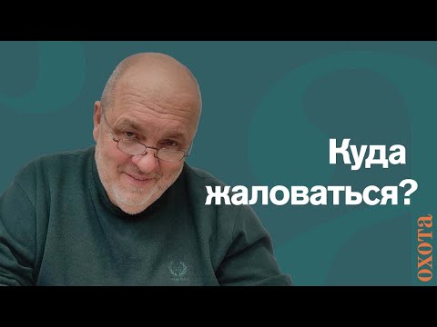 Видео: Куда жаловаться? Валерий Кузенков о том, куда обращаться если охотник столкнулся с несправедливостью
