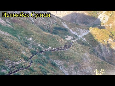 Видео: 3- Қисим Зиндондара то Тожикобод 🇹🇯 Асали Гарм коморов фуруши +992909923839 📱 2024 г.