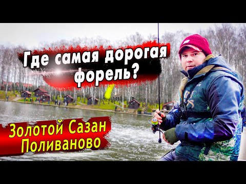 Видео: Ловля Форели со Дна | ВИП Платник!