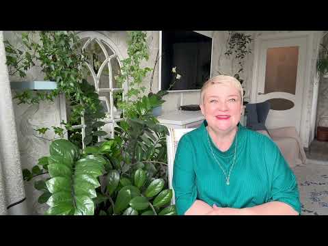 Видео: Давайте знакомиться ?!🌸Рассказываю о себе🌸 Домашнее видео🪴