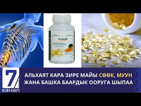 Видео: АЛЬХАЯТ КАРА ЗИРЕ МАЙЫ СӨӨК МУУН ЖАНА БАШКА БААРДЫК ООРУГА ШЫПАА.