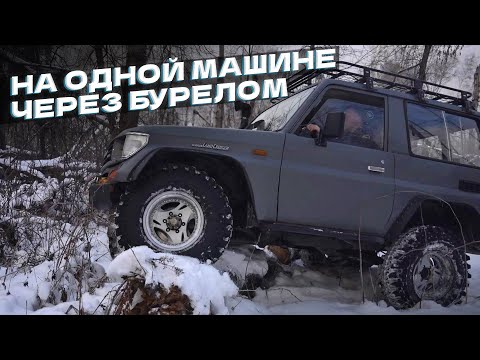 Видео: Застряли одни в тайге. Встретили диких животных. Land Cruiser 70. #продороги