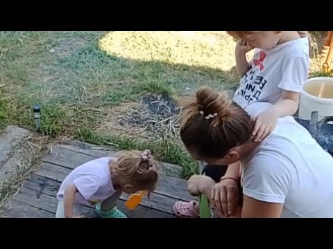 Видео: Наша 31 сотка 🥰 Работа кипит... Печём пирожки...Отдыхаем😉