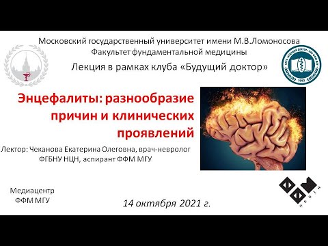 Видео: Е.О. Чеканова - Энцефалиты: разнообразие причин и клинических проявлений