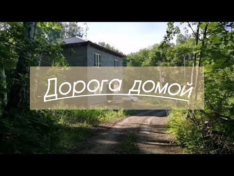 Видео: Проводим электрику. #жизньназемле #этожизнь #мывместе #участок