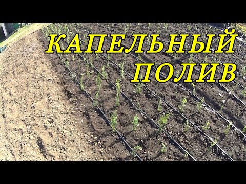 Видео: КАПЕЛЬНЫЙ ПОЛИВ. Монтаж. Практическое применение.