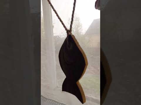 Видео: Экзюпери довел до нервного срыва. Вчера убежала из дома плакать в лес. Сегодня - картошка с грибами.